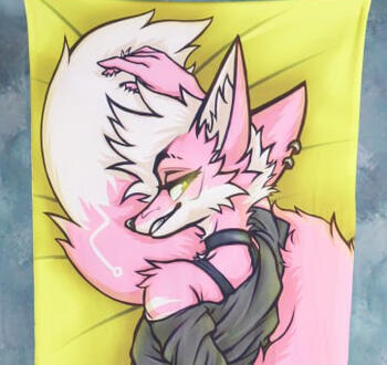 Dakimakuras